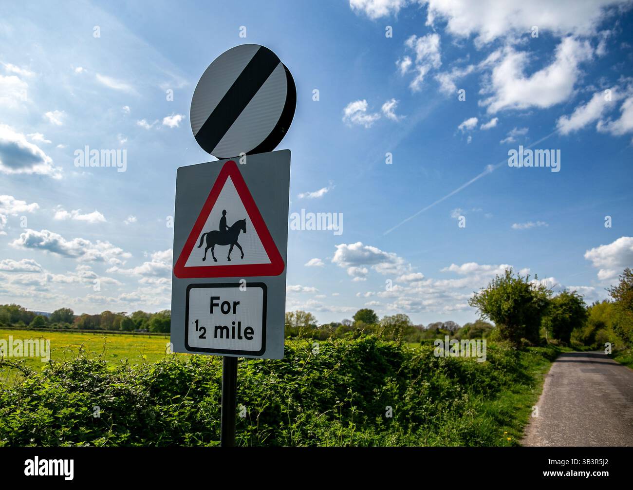 Roadside warning sign for horse riders against a vibrant rural backdrop ...