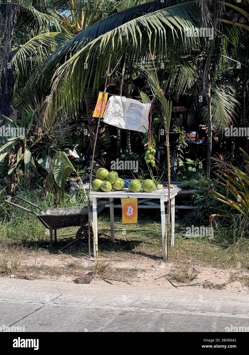 Sign accepting Bitcoin as payment at an Thailand impromptu street stall  selling fresh coconuts, blending local trade and digital currency,  Cryptocurrency payments Thai fruit market Stock Photo - Alamy