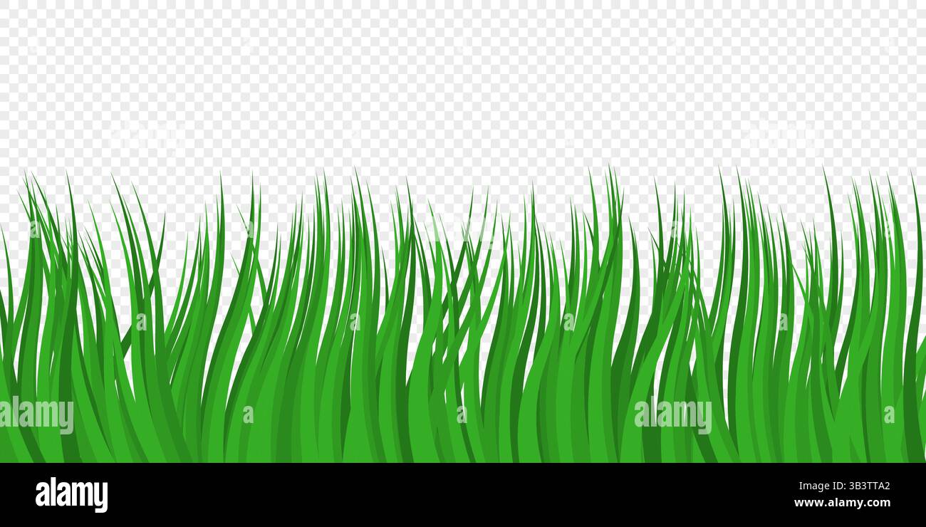 Green vector grass on transparent background Stock Vector