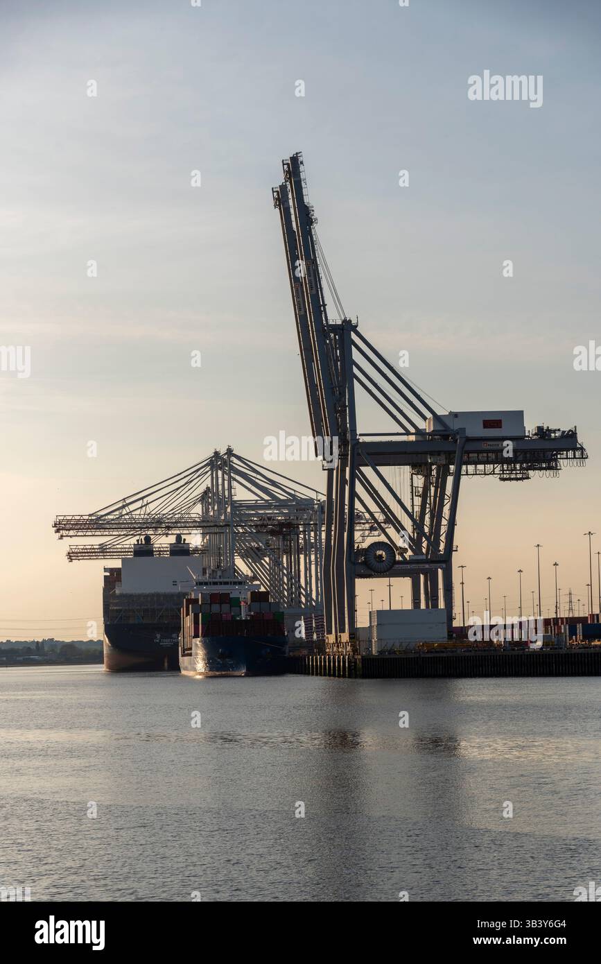 Southampton England UK. 28.04.2025. Container ships and quay cranes alongside the DP World terminal for container ships in Southampton. Stock Photo