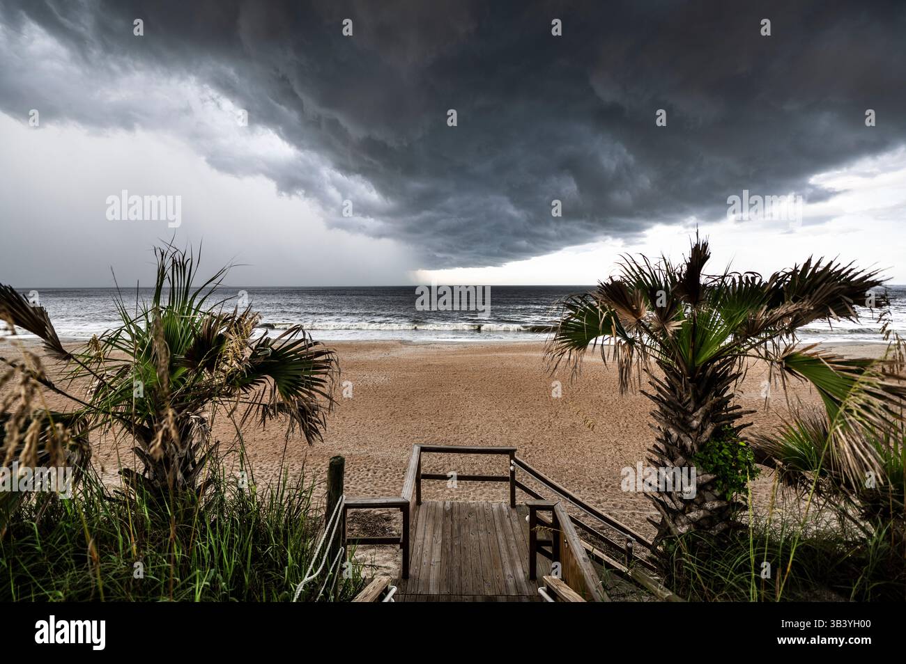 Dramatic Cloudy Sky Over a Coastal Beach with Palm Trees Stock Photo