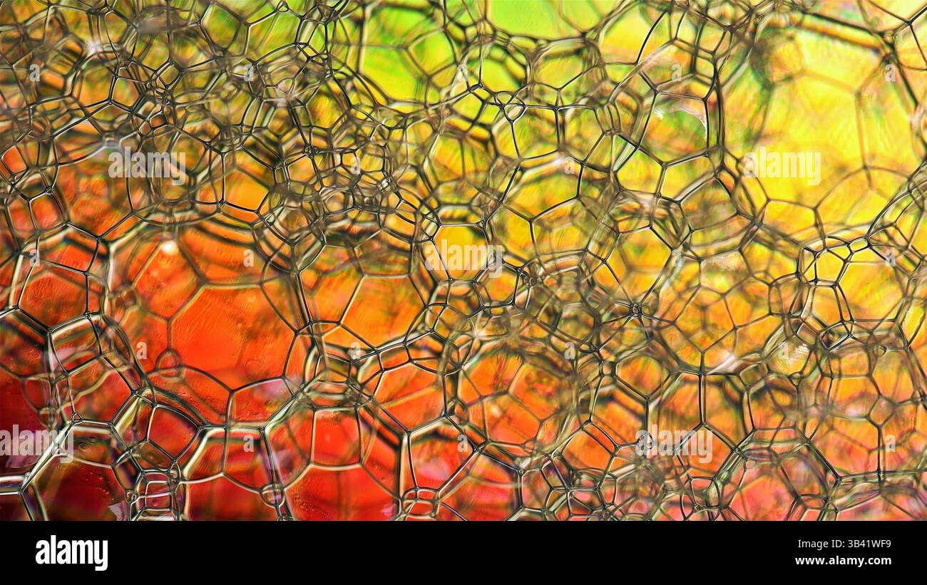 Soap bubbles. Stock Photo