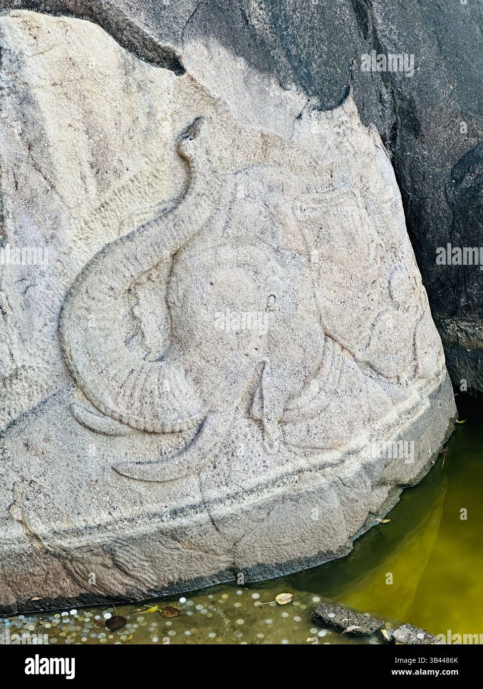 Ancient elephant carving at the Isurumuniya Temple pond, Anuradhapura, Sri Lanka — a symbol of historic artistry and cultural heritage. - Smartphone Captured Stock Image