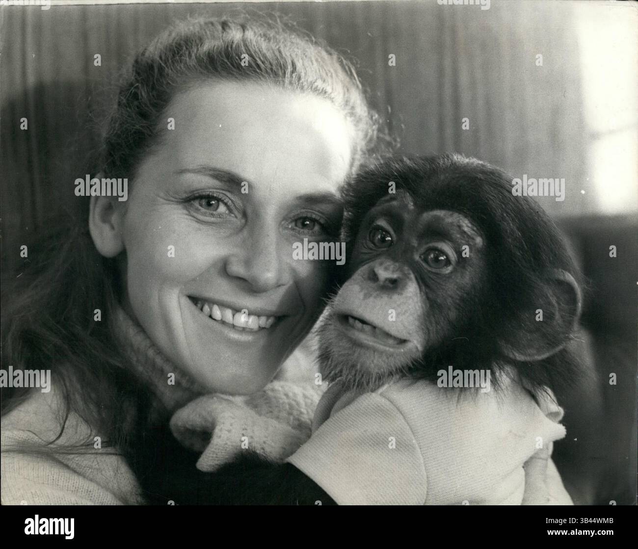 1967 - Mary's Circus Is Back In Town: ''Chipperfield's'' is for millions synonymous with Circus, but Mary Chipperfields Circus is quite distinct and separate from her uncle Dick's circus - the one that most of us associate the name with. The confusion has in fact led to a serious family rift, and Mary had to suspend circus activities two years ago, but now she is back again - the call of the Ring is irresistable to a Chipperfield! The circus - a spectacular show featuring over 50 animals and about 40 artistes, including clowns, trapeze acts, etc. is now in full swing on Clapham Common, there w Stock Photo