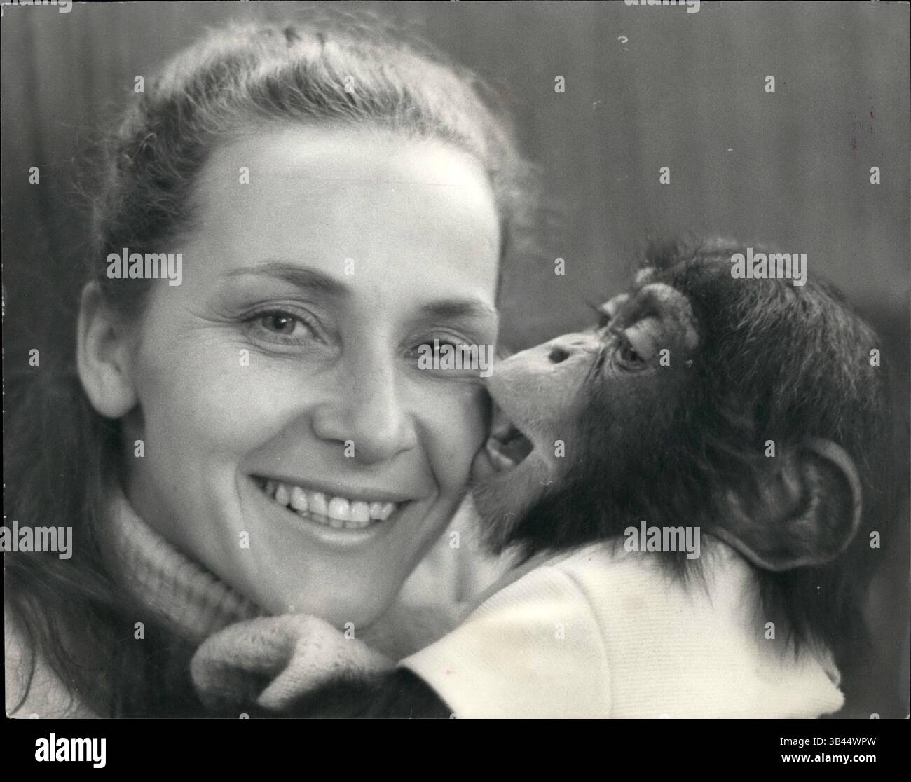 1967 - Mary's Circus Is Back In Town: ''Chipperfield's'' s for millions synonymous with Circus, but Mary Chipperfields Circus is quite distinct and separate from her uncle Dick's circus - the one that most of us associate the name with. The confusion has in fact led to a serious family rift, and Mary had to suspend circus activities two years ago, but now she is back again - the call of the Ring is irresistable to a Chipperfield! The circus - a spectacular show featuring over 50 animals and about 40 artistes, including clowns trapeze acts, etc. is now in full swing on Clapham Common, there wil Stock Photo
