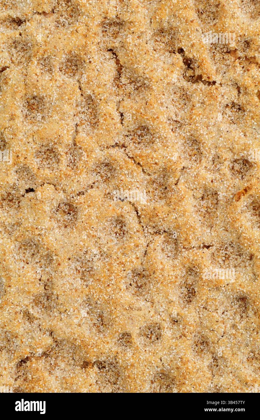 Rye crispbread detail textured background Stock Photo