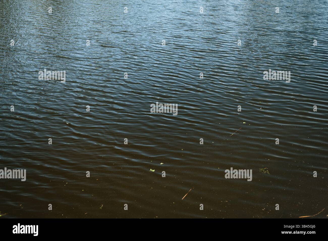 Small ripples on the river. High quality photo Stock Photo