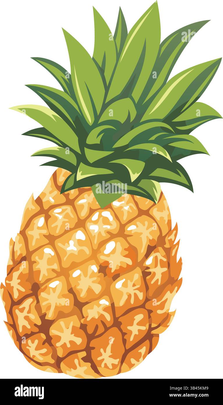 Vector Pineapple Illustration Isolated On A White Background. Stock Vector