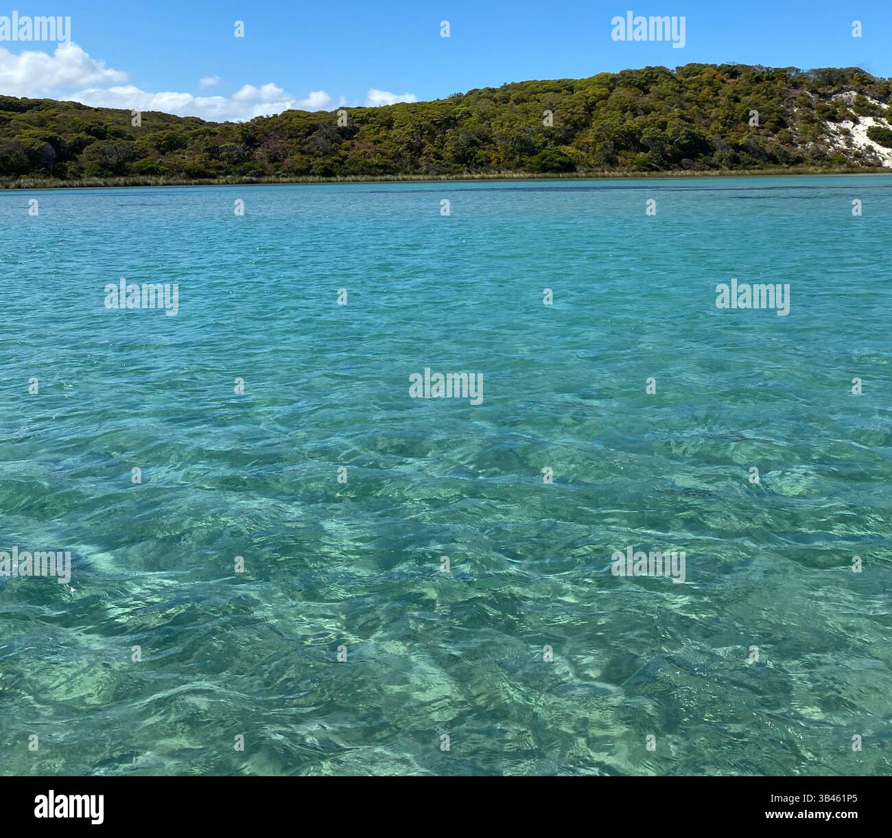 crystal clear water - Smartphone Captured Stock Image
