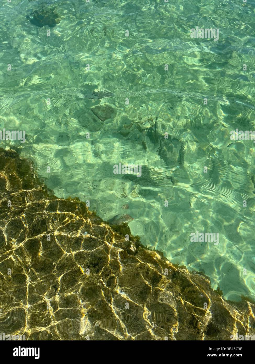 crystal clear water at Rottnest island - Smartphone Captured Stock Image