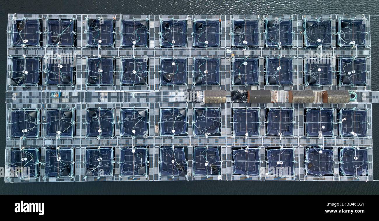 Aerial view of large MOWI fish farm on Loch Ailort in Lochaber, Scotland. Stock Photo