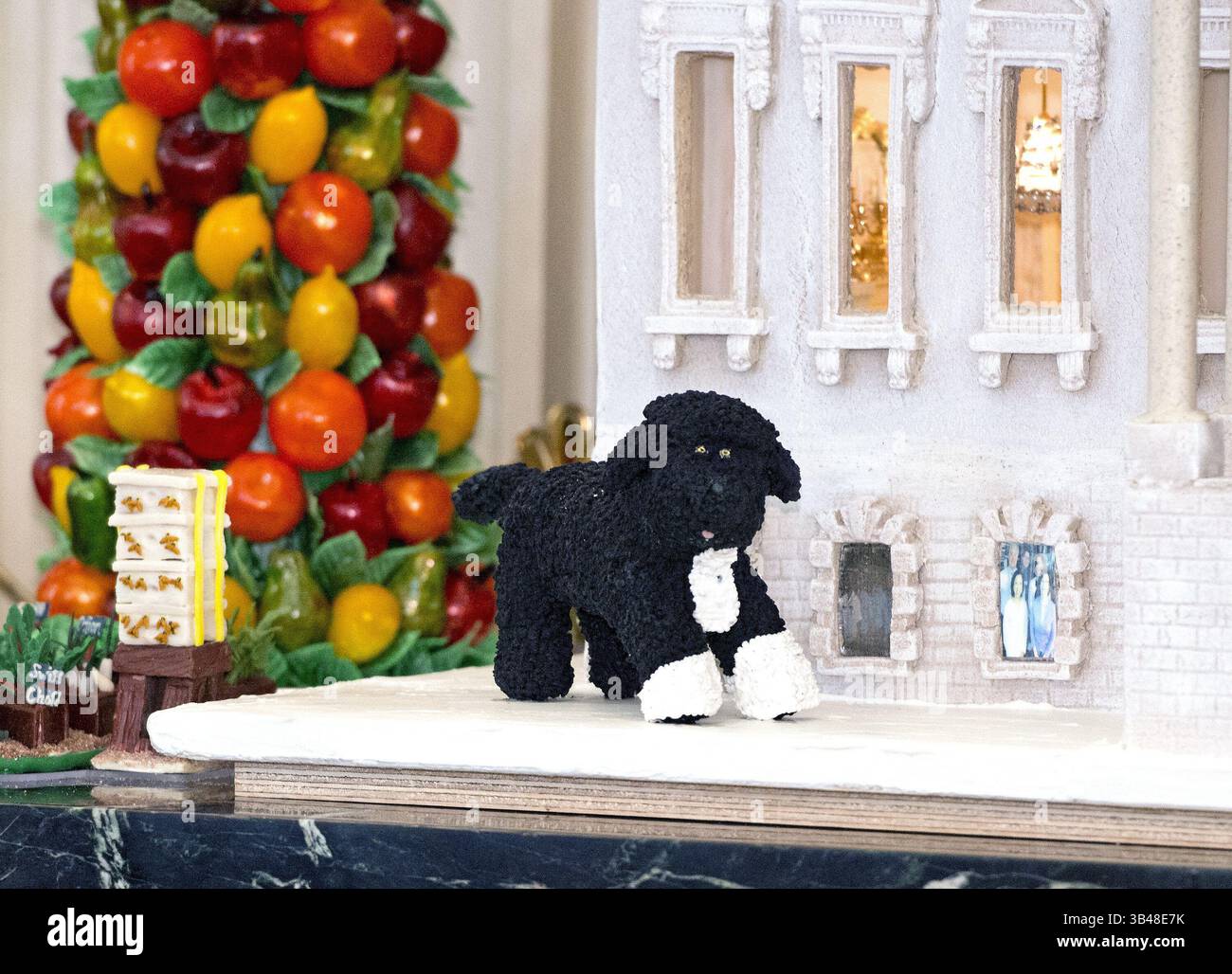 Nov. 28, 2012 - Washington, District of Columbia, USA - Detail of the likeness of Bo, the First Family's Portuguese Water Dog, which is on the exterior of the White House Gingerbread House, part of the 2012 White House Christmas decorations, on display in the State Dining Room in Washington, DC on Wednesday, November 28, 2012. It is constructed with over 175 pounds of gingerbread and modified gingerbread. The 300 pound (136.1kg) house contains 50 pounds (22.7kg) of chocolate. A combination of wheat, rye, and white-flour gingerbread mimic the color of the original sandstone that was painted whi Stock Photo
