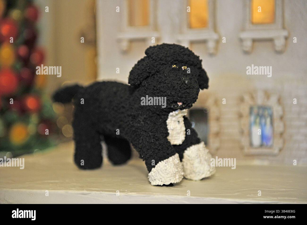 Nov. 28, 2012 - Washington, District of Columbia, USA - Detail of the likeness of Bo, the First Family's Portuguese Water Dog, which is on the exterior of the White House Gingerbread House, part of the 2012 White House Christmas decorations, on display in the State Dining Room in Washington, DC on Wednesday, November 28, 2012. It is constructed with over 175 pounds of gingerbread and modified gingerbread. The 300 pound (136.1kg) house contains 50 pounds (22.7kg) of chocolate. A combination of wheat, rye, and white-flour gingerbread mimic the color of the original sandstone that was painted whi Stock Photo