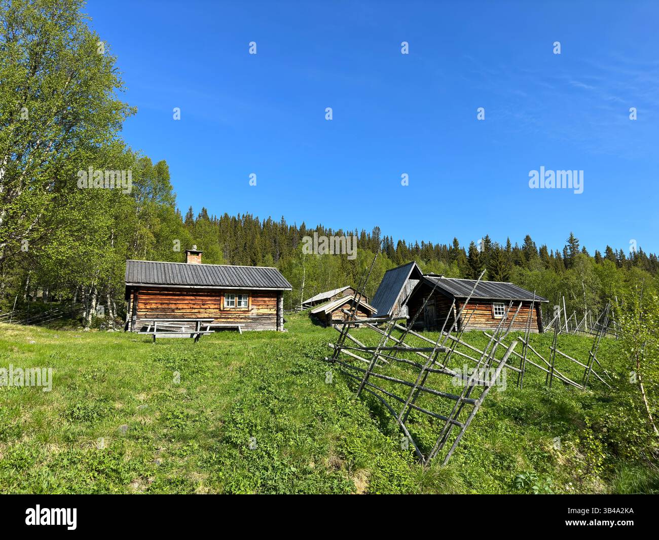 Charming wooden cabins sit in a lush green landscape with a vibrant blue sky, enhancing the serene atmosphere. Stock Photo