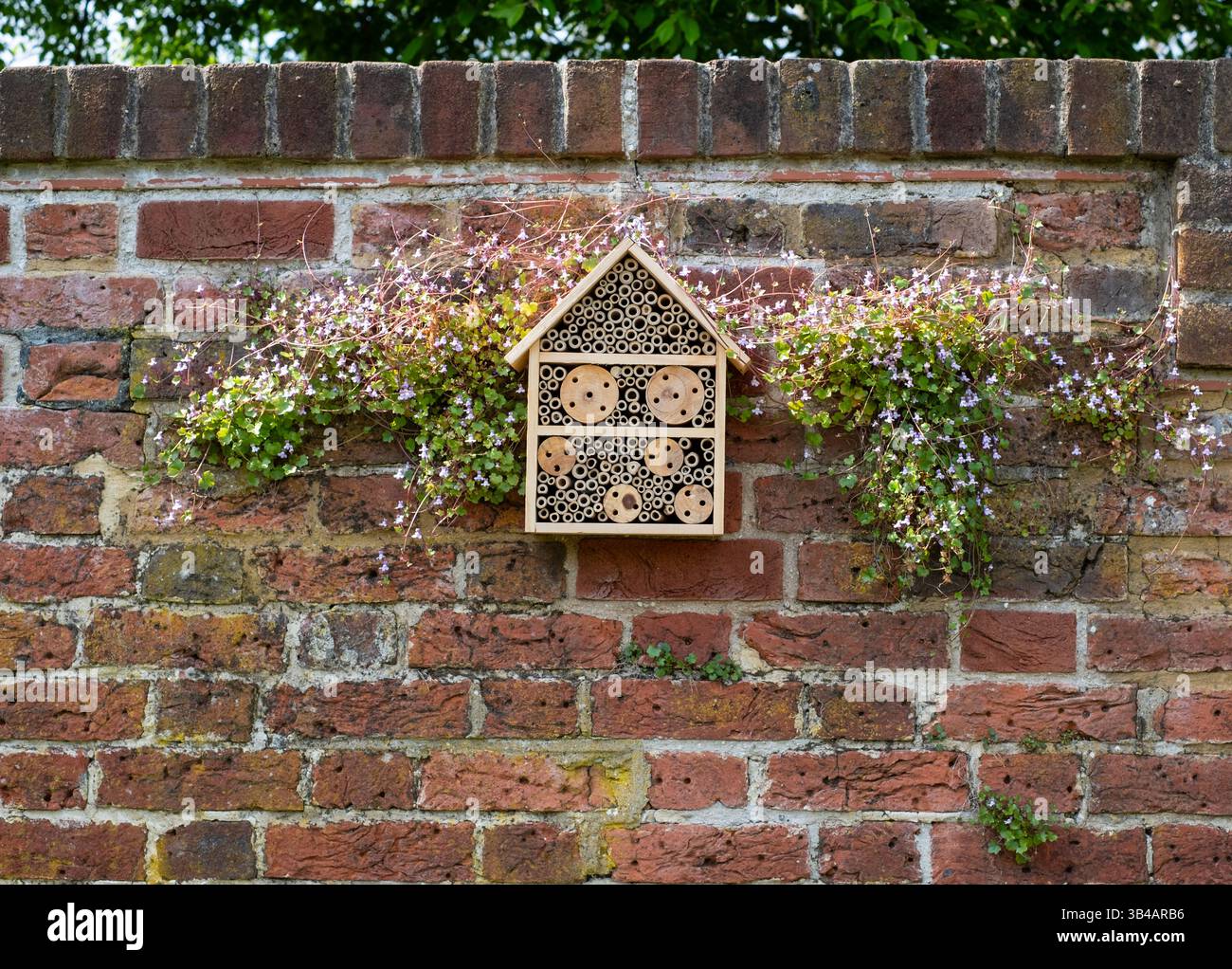 Bug house hotel for insects, surrounded by flowers, affixed to the wall ...