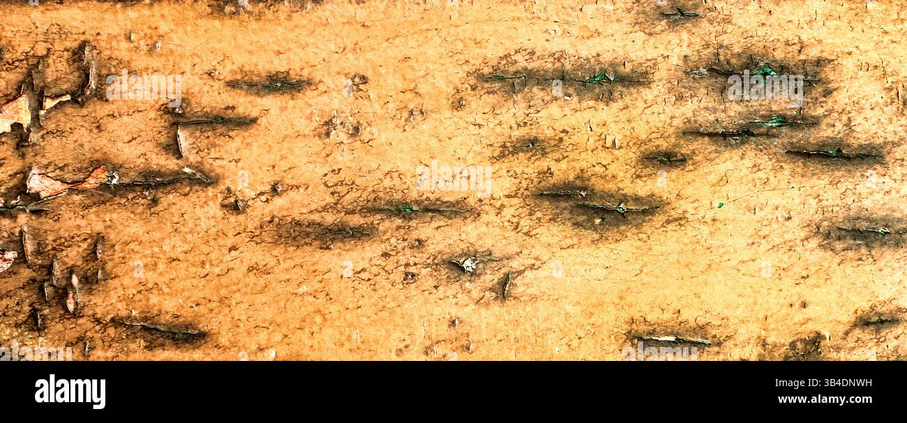 Old Wall Surface Abstract Textured Background Design Stock Photo