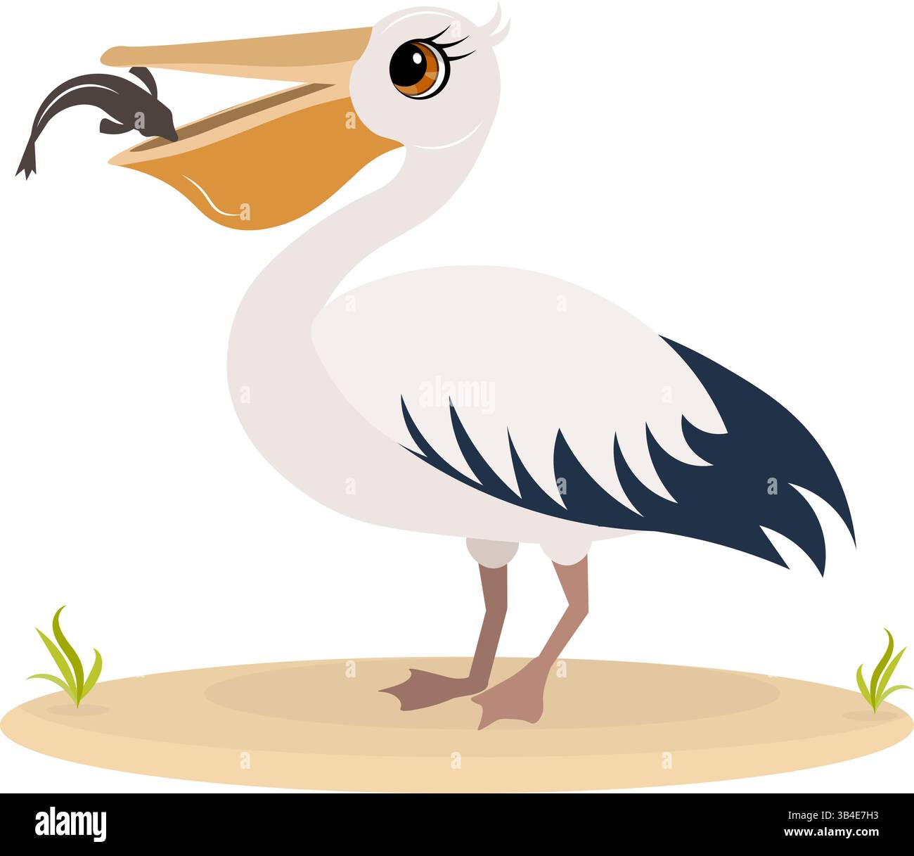 Cute zoo. Vector animals. The pelican eats fish. Vector collection of