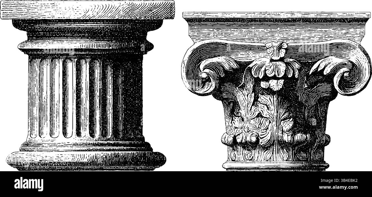 Column Set Engraved illustration set of classical tuscan column capitals for ...