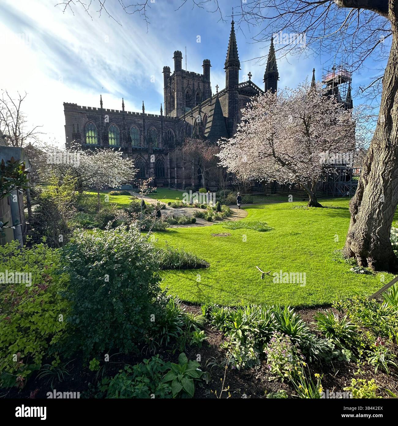Chester Cathedral and it's gardens on a clear sunny spring day with tree in spring blossom - Smartphone Captured Stock Image