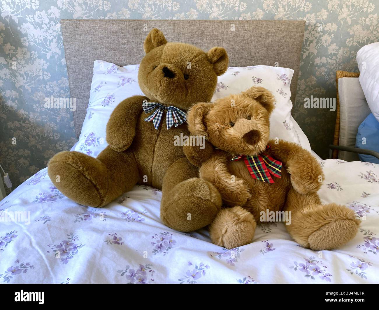 Two Teddy bears on duvet and bed in childs bedroom - Smartphone Captured Stock Image