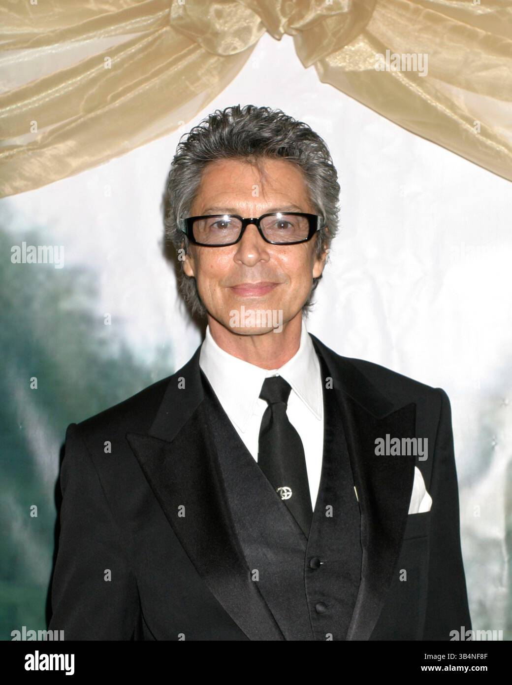 Apr. 16, 2008 - 12 April 2008 - White Plains, NY, USA - Tommy Tune, honoree attends The 63rd Boys' Towns of Italy ''Ball of the Year'' held at the Ritz Carlton Hotel.  Credit:  Anthony G. Moore/   K57848AGM.(Credit Image: © Globe Photos/ZUMAPRESS.com) Stock Photo