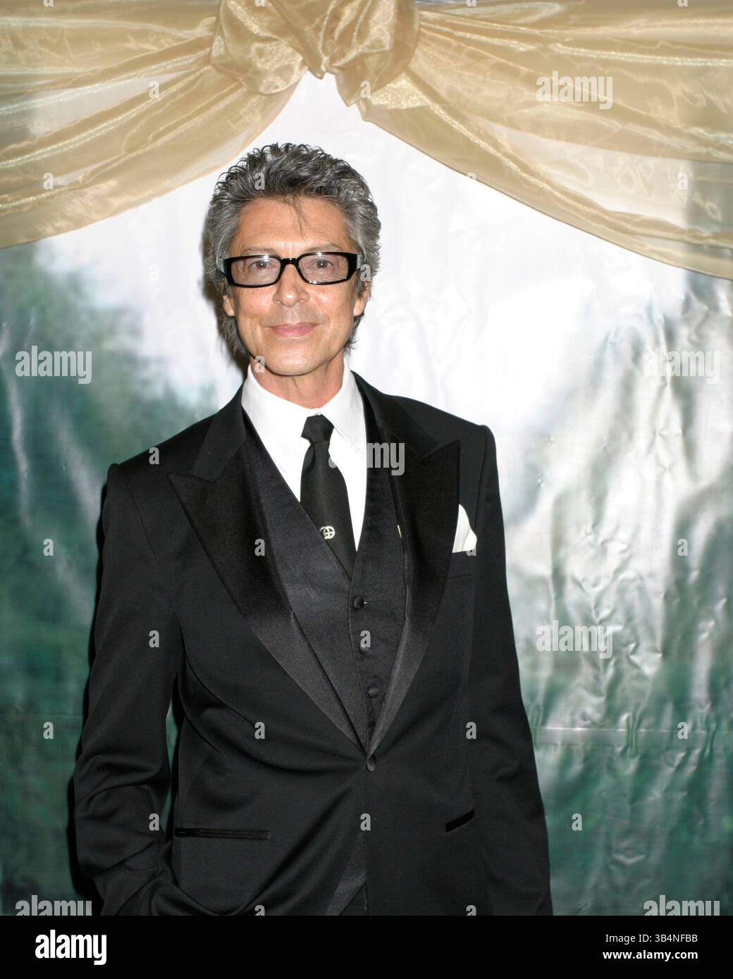 Apr. 16, 2008 - 12 April 2008 - White Plains, NY, USA -Tommy Tune, honoree attends The 63rd Boys' Towns of Italy ''Ball of the Year'' held at the Ritz Carlton Hotel.  Credit:  Anthony G. Moore/   K57848AGM.(Credit Image: © Globe Photos/ZUMAPRESS.com) Stock Photo
