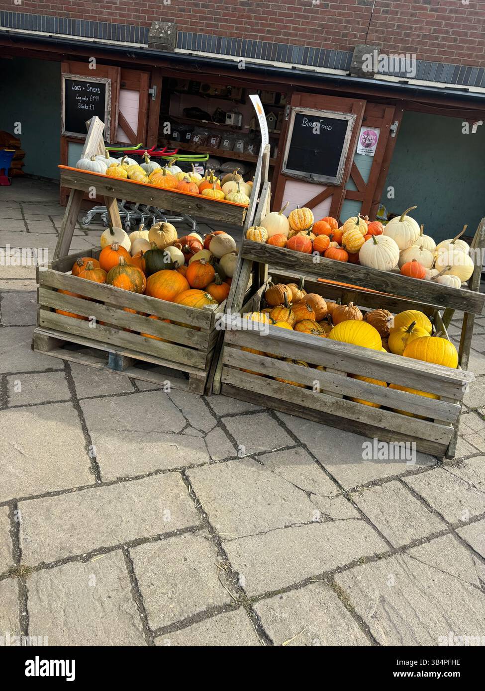 Stacked with Autumn spirt - Smartphone Captured Stock Image