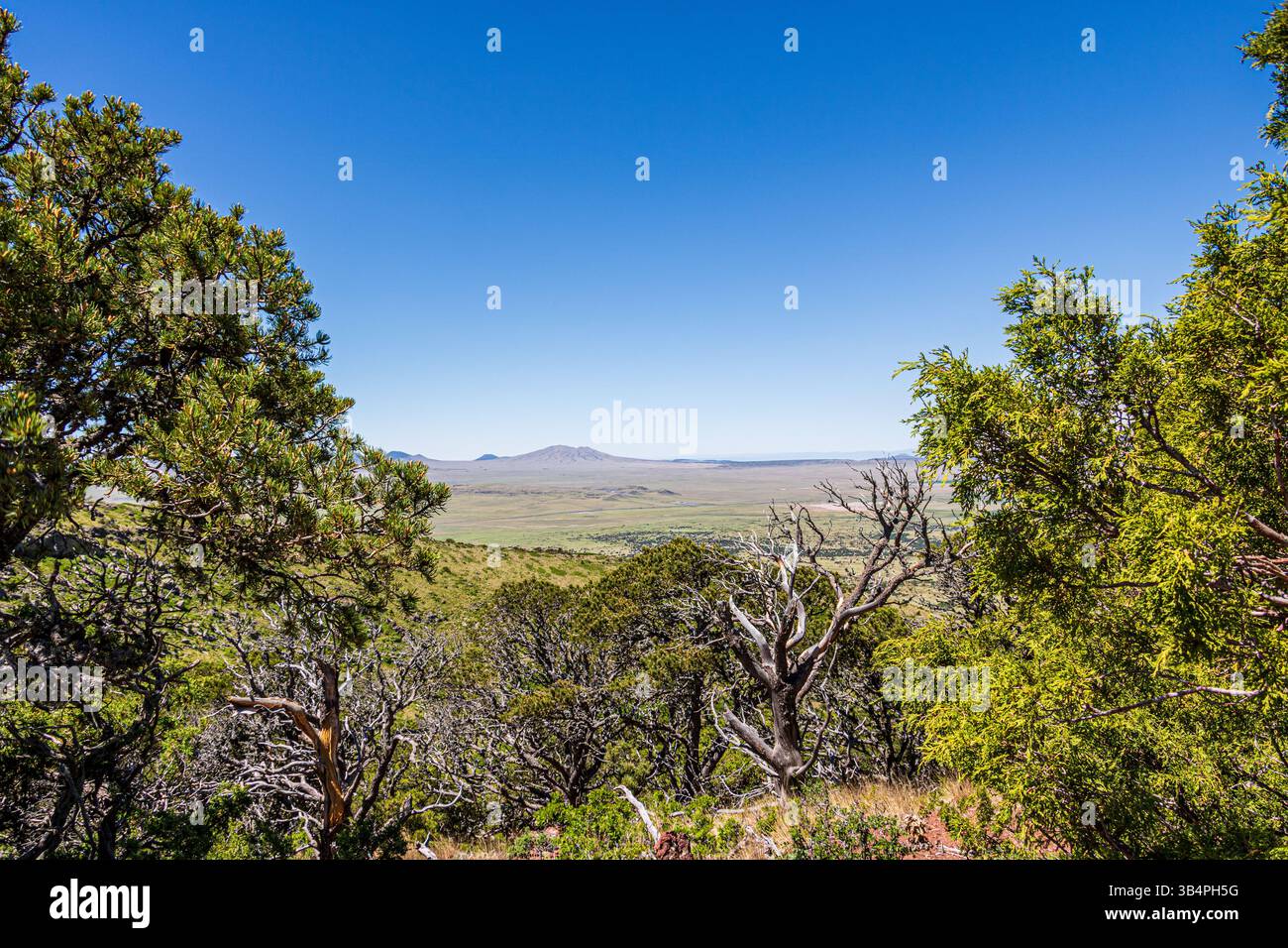 Serene landscape of the volcanic field seen from Crater Rim Trail at ...