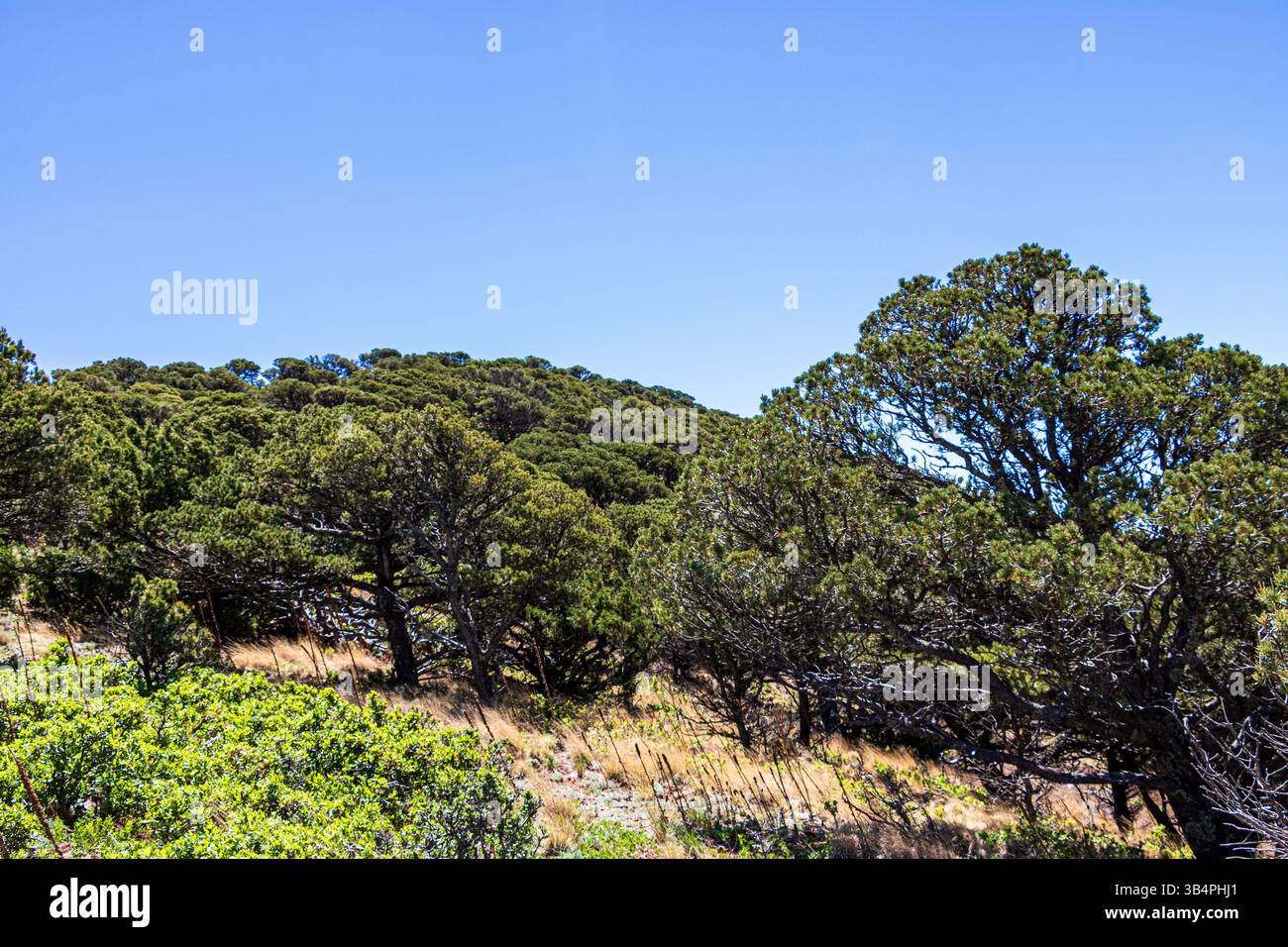 Serene landscape seen from Crater Rim Trail at Capulin Volcano National ...