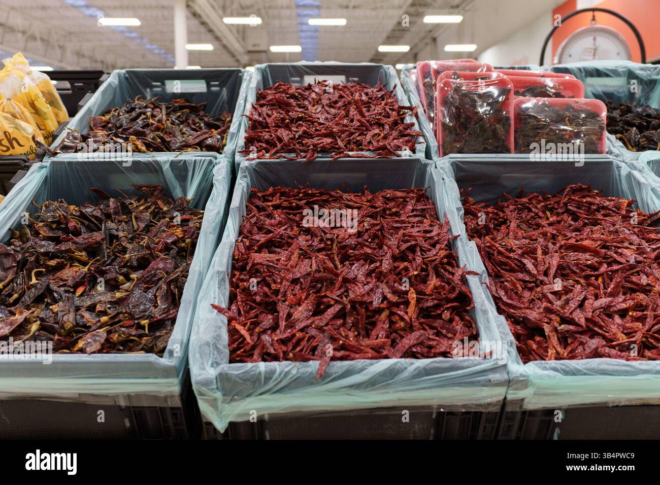 A supermarket showcases various dried chiles in bins, ranging in color