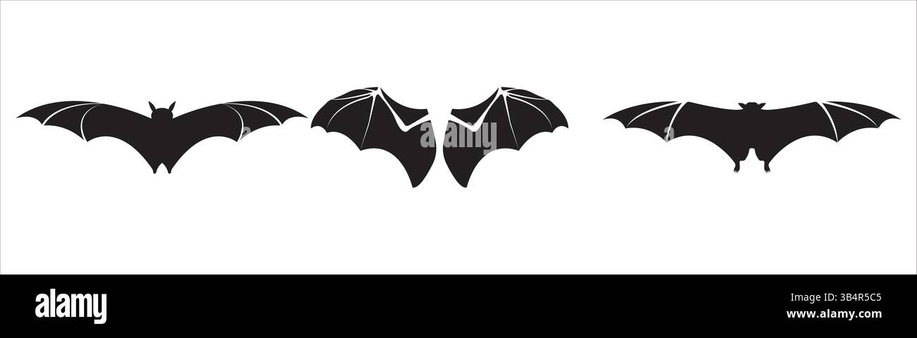 Bat Silhouettes with Spread Wings – Flying Bat Vector Illustration Set ...