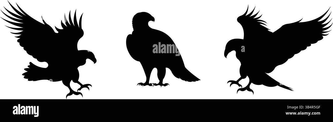 Eagle Silhouette Set with Various Poses Stock Vector