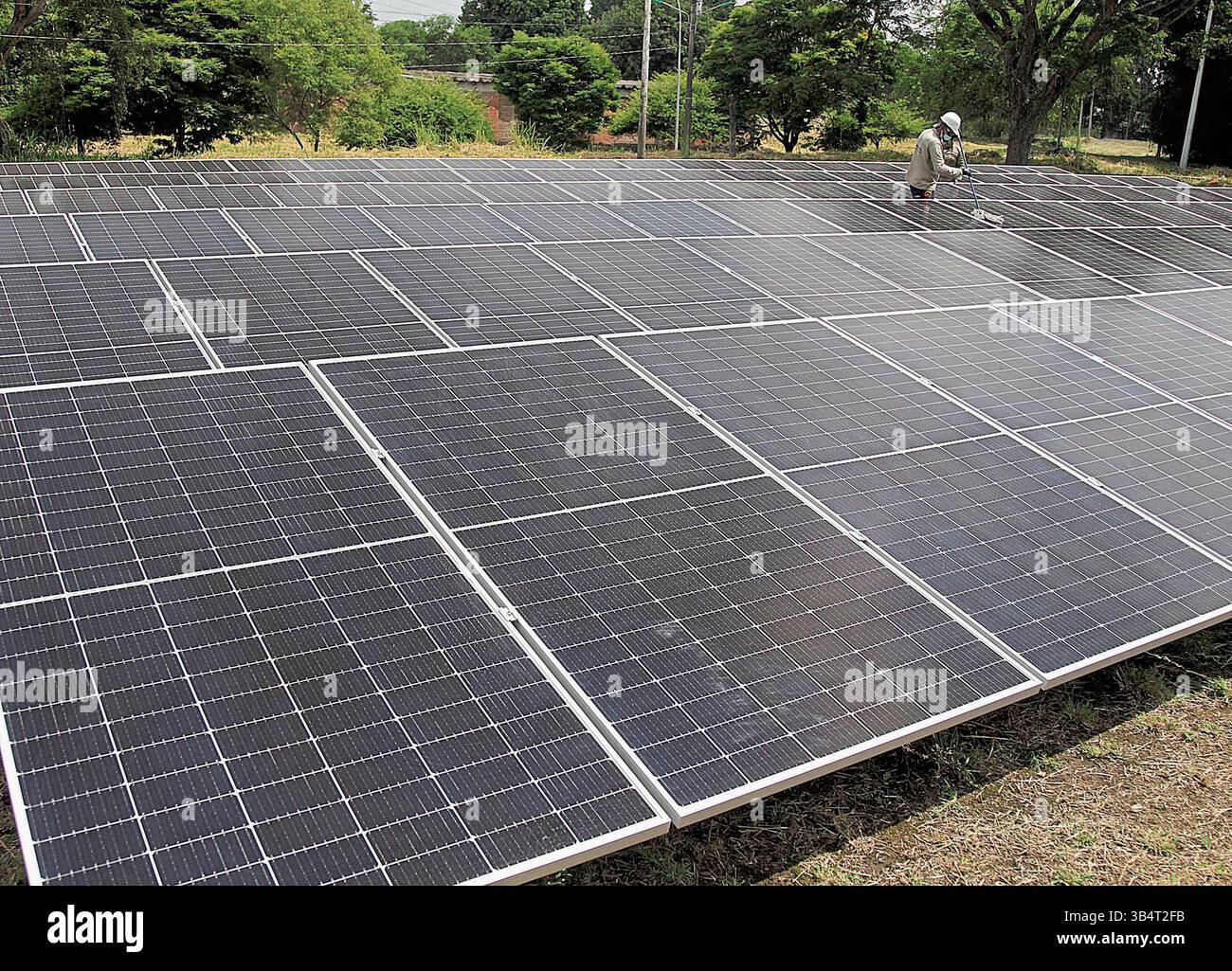Modelo de planta hi-res stock photography and images - Alamy