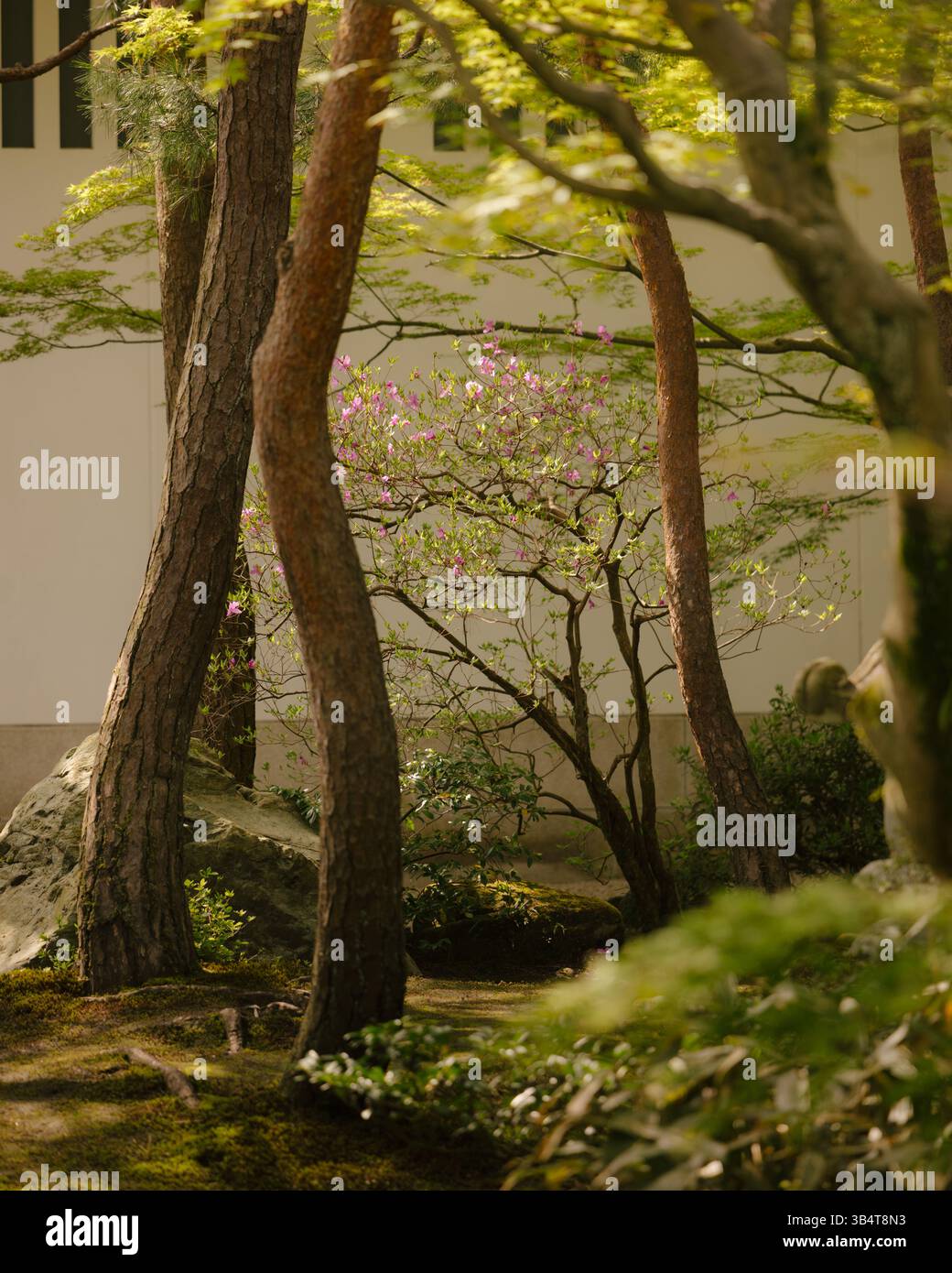 Including landscape features hi-res stock photography and images - Alamy