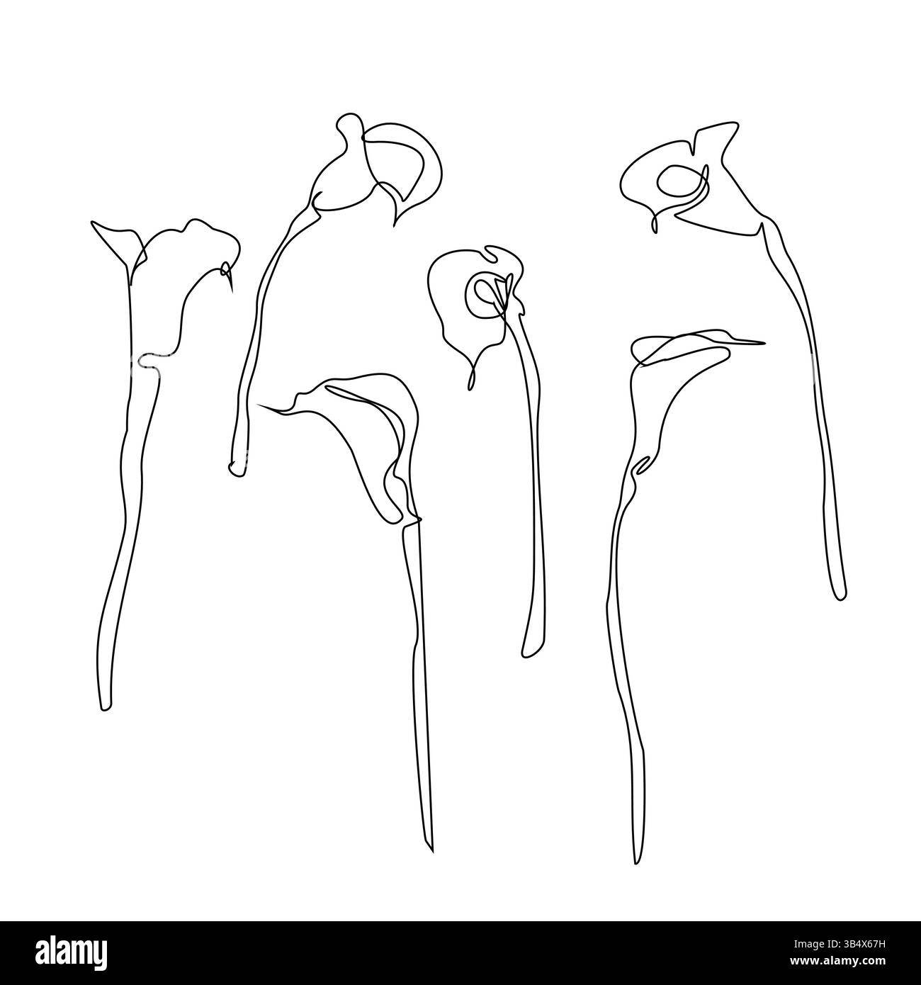 Set of luxury calla lily flowers and logo. Trendy botanical elements. Hand drawn line leaves branches and blooming. Wedding elegant wildflowers for in Stock Vector
