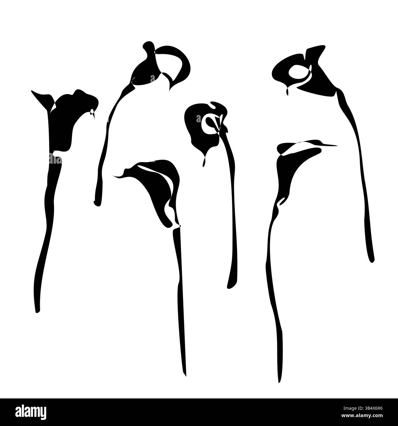 Set of luxury calla lily flowers and logo. Trendy botanical elements. Hand drawn black silhouette leaves branches and blooming. Wedding elegant wildfl Stock Vector
