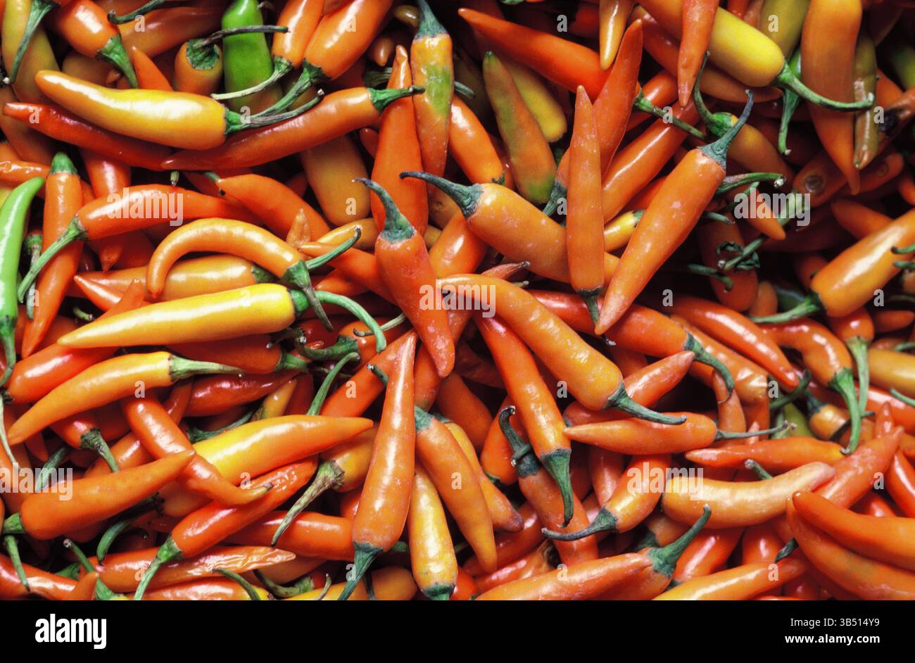 Thailand. Bangkok. Food market stall. Close up of Chilli peppers. Stock Photo