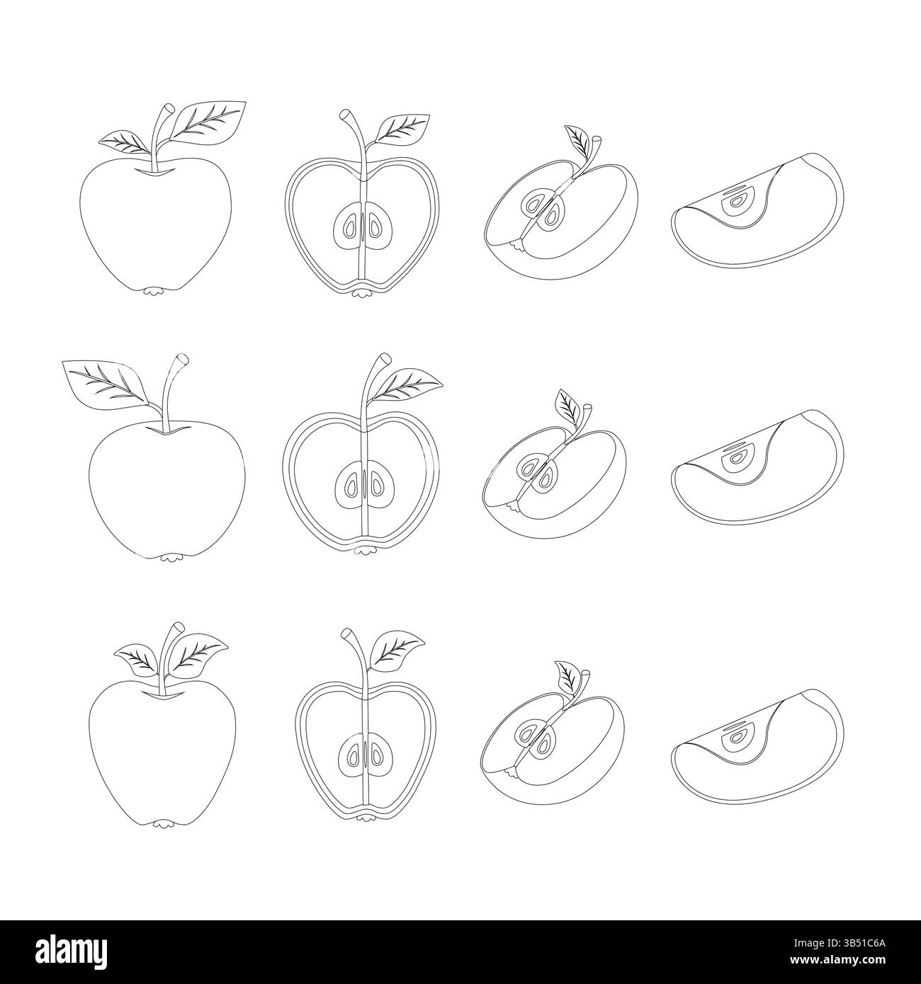 Apple cross section Black and White Stock Photos & Images - Alamy Apple cross section Black and White Stock Photos & Images - Alamy