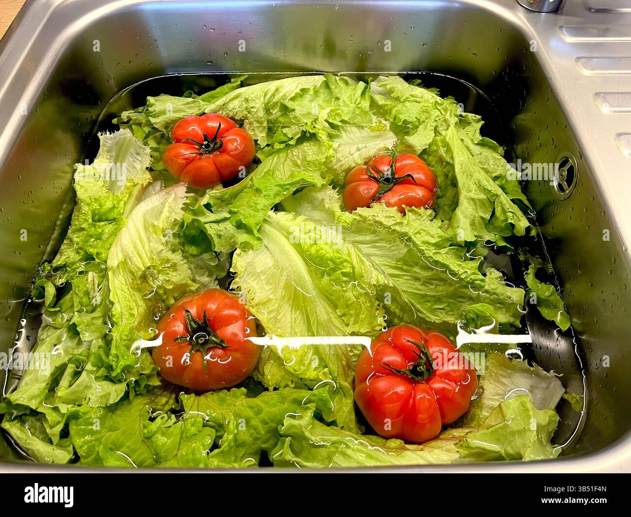 Fresh salad greens and tomatoes being washed rinsing in water in kitchen sink before meal preparation at home - Smartphone Captured Stock Image