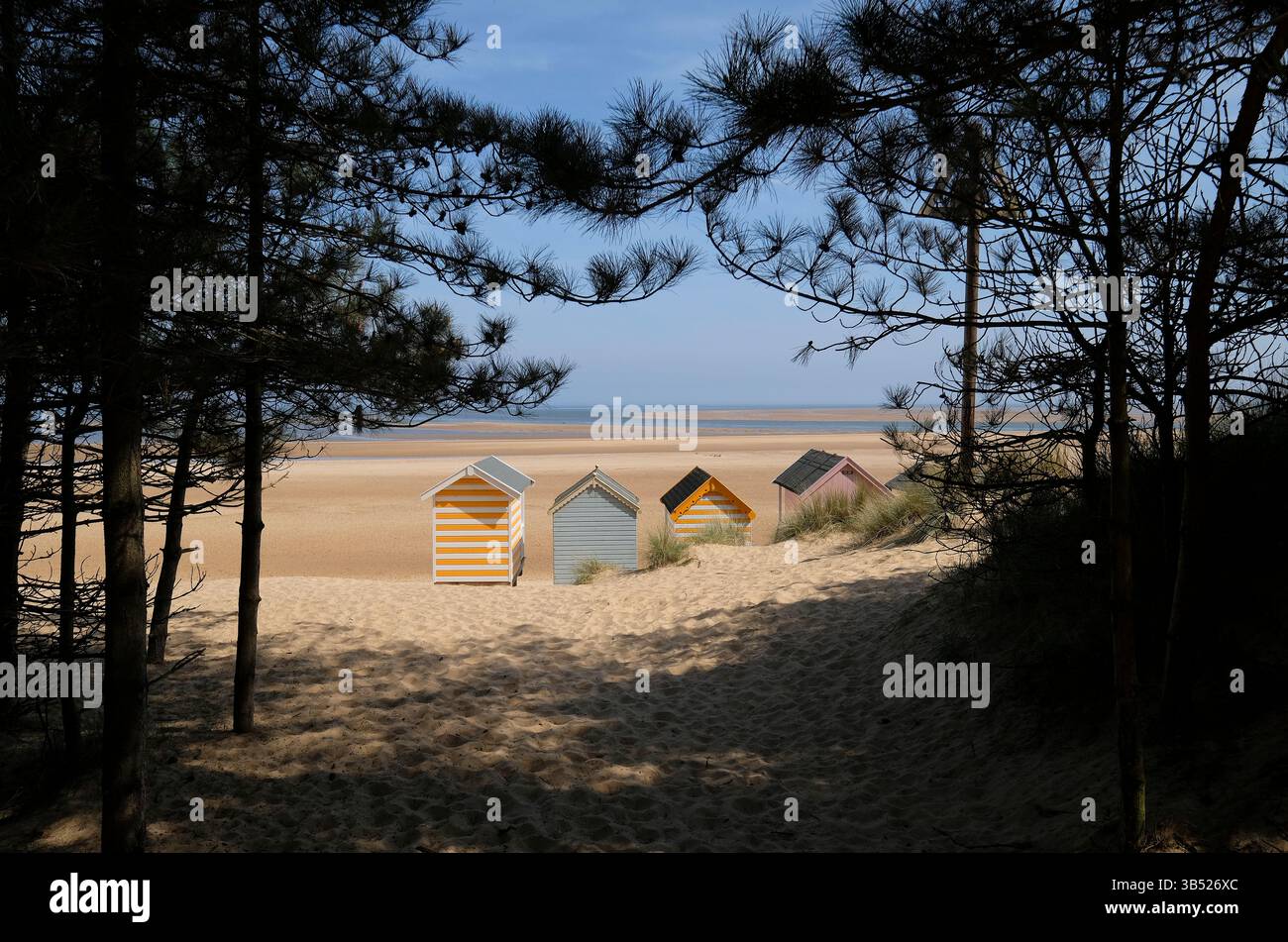 beach huts and pine woods, wells-next-the-sea, north norfolk, england Stock Photo