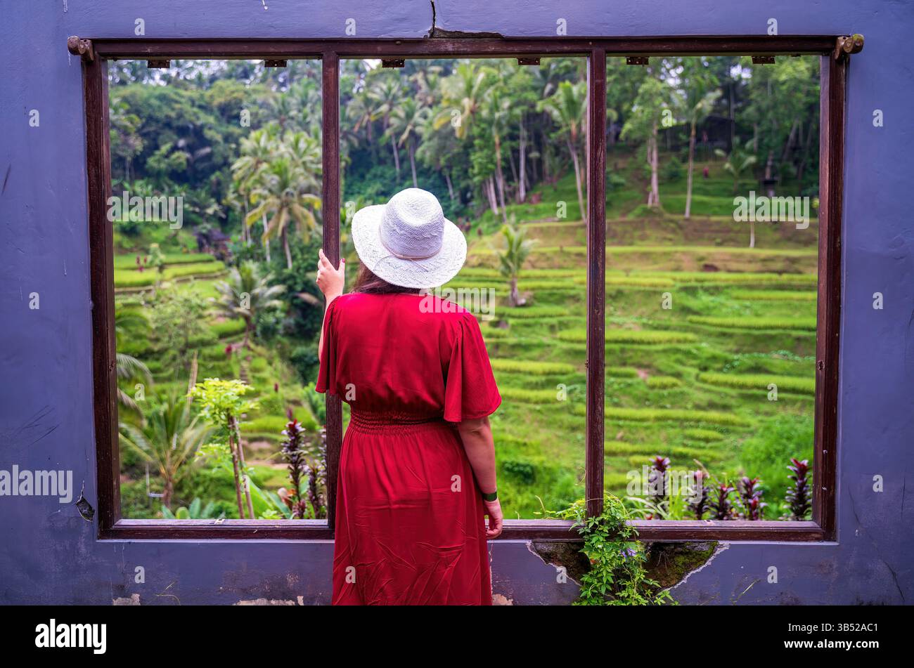 Tourist enjoying panoramic views of iconic stepped rice terraces and ...