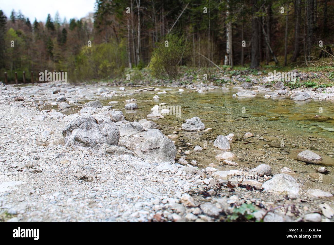Clear creek in forest hi res stock photography and images Alamy