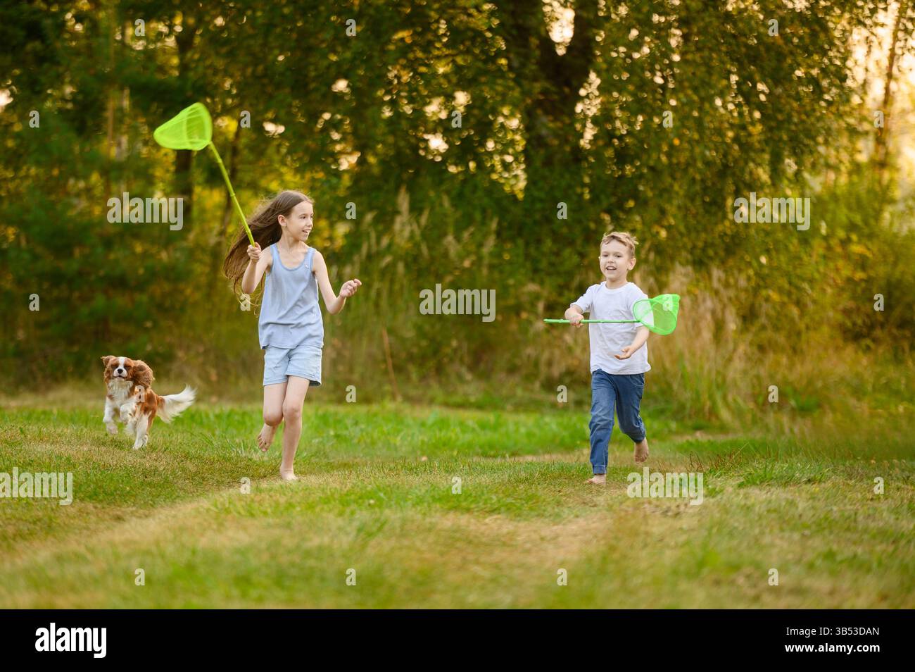 Cute brother and sister running barefoot with butterfly net on grass while playing outside with king charles spaniel dog. Countryside vacation, summer Stock Photo