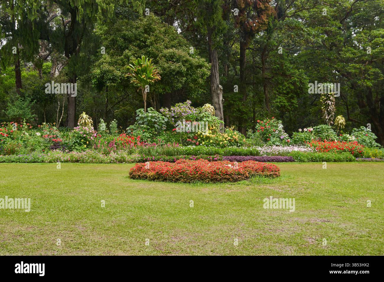 Well maintained park lush hi res stock photography and images Alamy