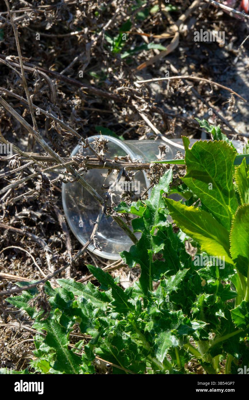 Clear plastic glass lies hi-res stock photography and images - Alamy