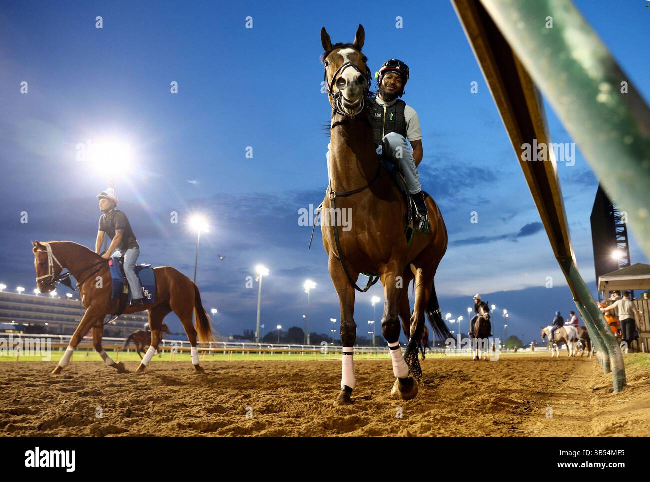 Louisville, United States. 01st May, 2025. Exercise riders walk their ...