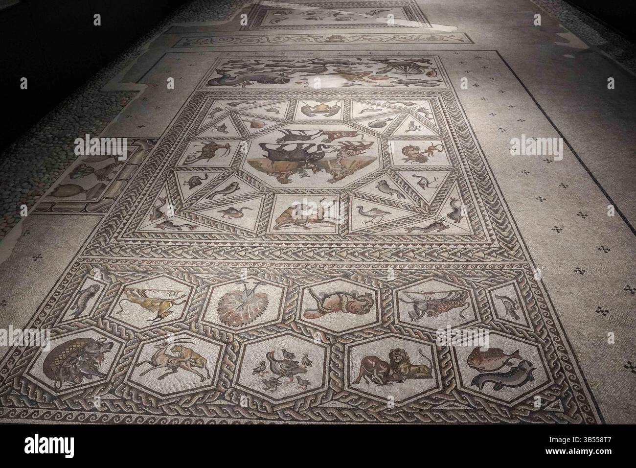 June 27, 2022, Lod, Israel: The Israel Antiquities Authority inaugurates the Shelby White and Leon Levy Lod Mosaic Archaeological Center. The centerâ€™s goal is to display a 1,710 square foot, Roman period (3rd to 4th century CE) mosaic which served as the floor of a living room villa in a wealthy housing complex in Lod. The mosaic, claimed by archaeologists to be extraordinary in its quality, its depicted subject matters and preservation, is being called an archaeological gem with images of mammals, birds, fish, various plants and ancient ships depicted in great detail. (Credit Image: © Nir A Stock Photo