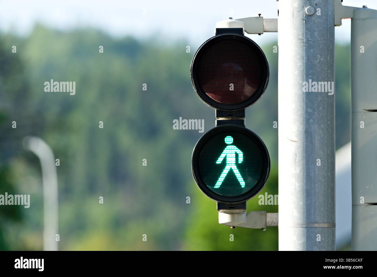 Crosswalk green light on traffic lights for pedestrians Stock Photo - Alamy