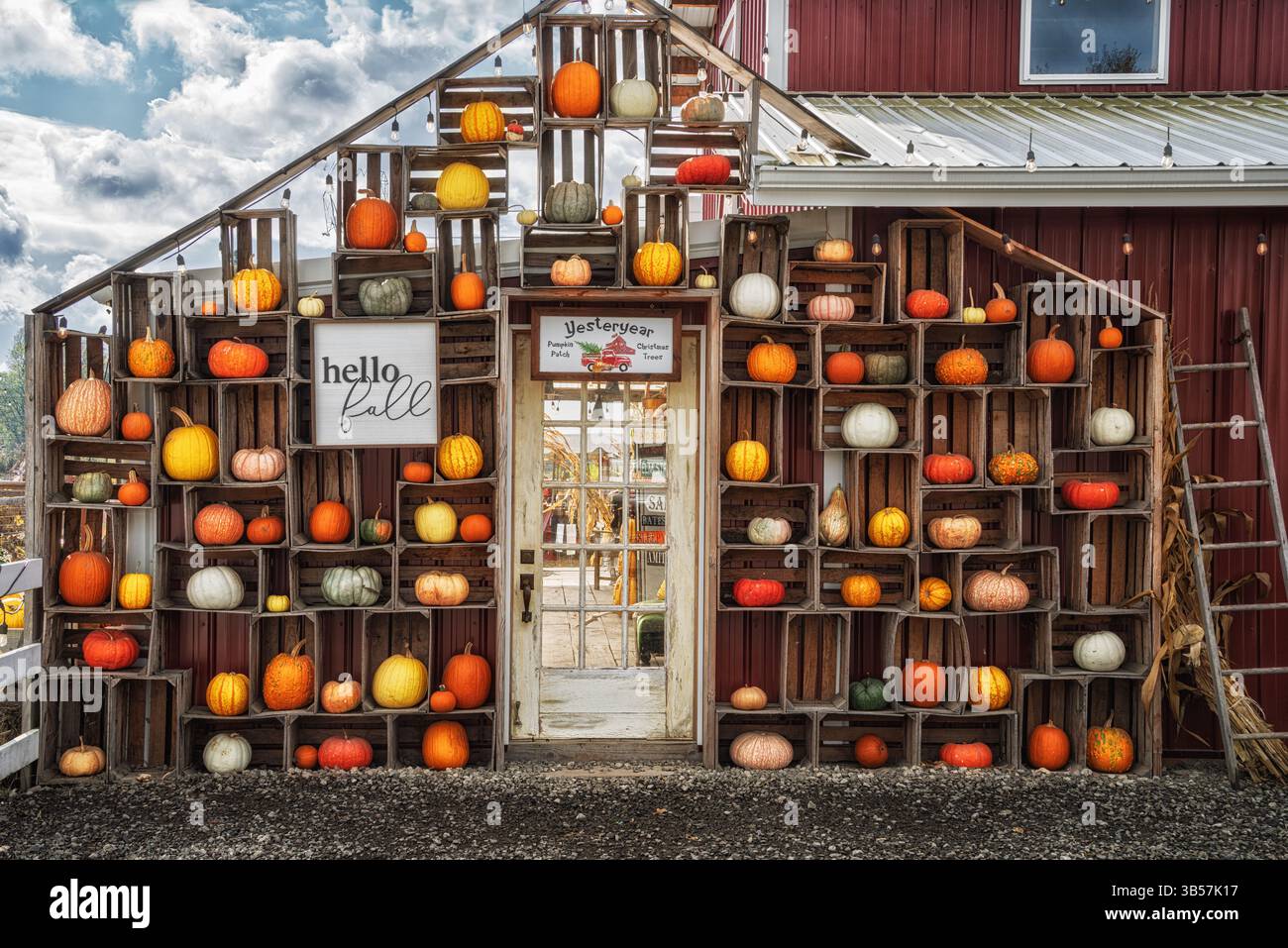 Pumpkin display. Stock Photo