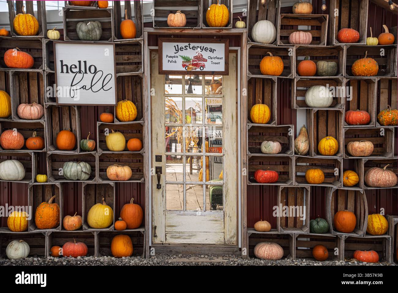 Pumpkin display. Stock Photo